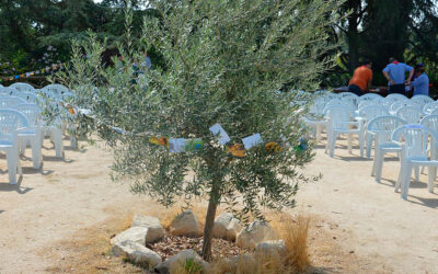 Comisión Diocesana de Ecología Integral 2019-2020