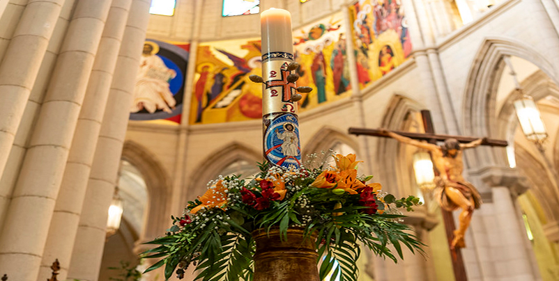 Actividad celebrativa