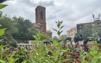Comisión Diocesana de Ecología Integral