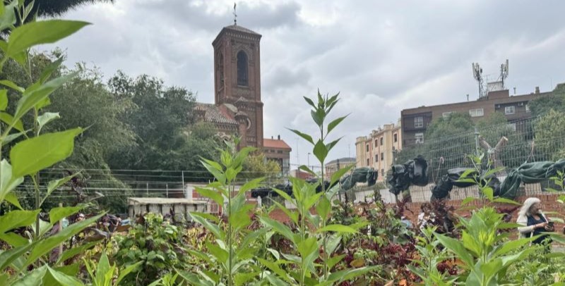 Comisión Diocesana de Ecología Integral