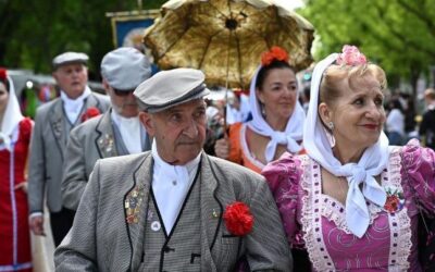 Vicaría VI Suroeste